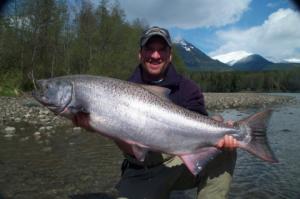 The photo of the week shows my nephew Justin (Judge) Gyger with a very fresh early run Kalum River Chinook Salmon.  This fish was caught in early May.  For conservation purposes, all Chinook Salmon over 65 cm must be released.  Both Steelhead and Chinook